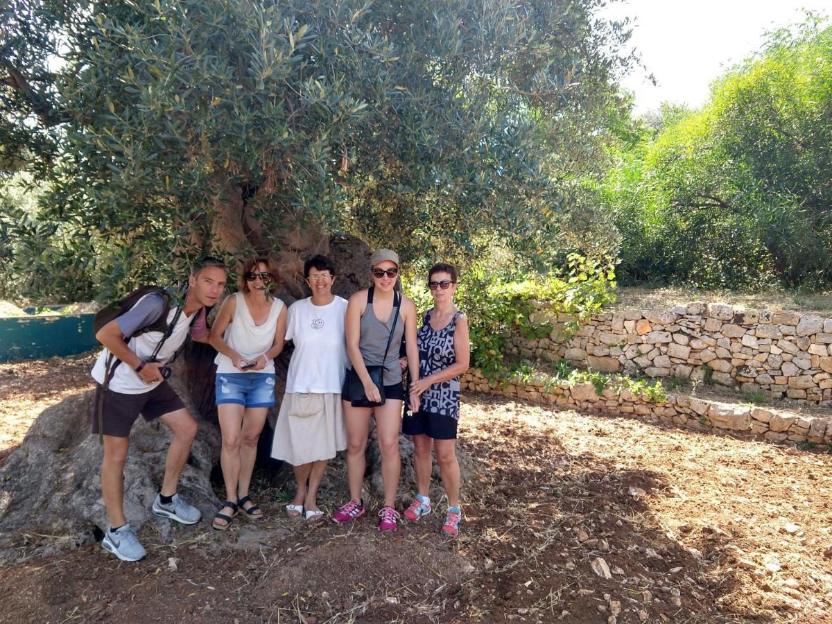 Vivere אוסטוני מראה חיצוני תמונה